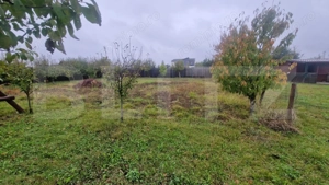 Teren Intravilan Harman cu utilitati , ingradit si casauta de lemn pe teren - imagine 8