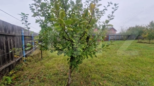 Teren Intravilan Harman cu utilitati , ingradit si casauta de lemn pe teren - imagine 12