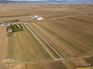 FILM! Teren intravilan 7.500 mp, deschidere dubla, DN11 (E574), Cernat, Covasna - imagine 4