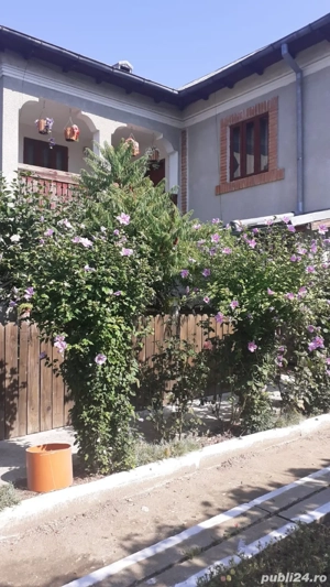 Vand Casa  - imagine 2