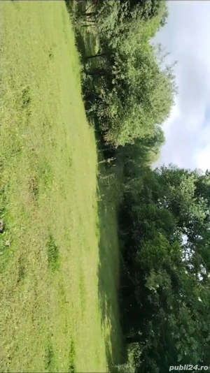 Teren  intravilant și Extravilan - imagine 4