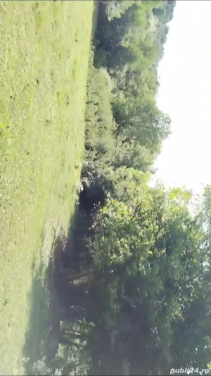 Teren  intravilant și Extravilan - imagine 2