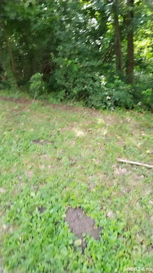 Teren  intravilant și Extravilan - imagine 3
