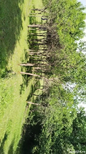 Teren  intravilant și Extravilan - imagine 9