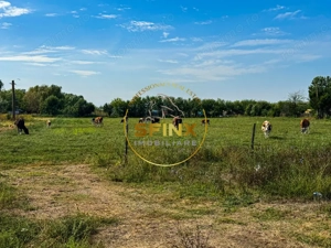 Teren intravilan cu potential de investitie 62000mp  - imagine 8