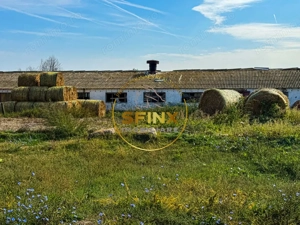 Teren intravilan cu potential de investitie 62000mp  - imagine 13