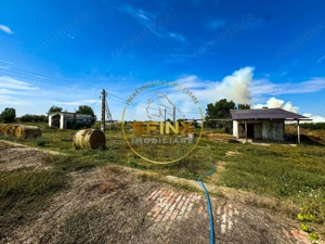 Teren intravilan 62000mp - ferma - logistica - depozitare