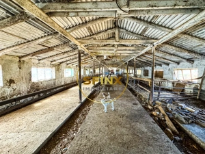 Teren intravilan cu potential de investitie 62000mp  - imagine 4