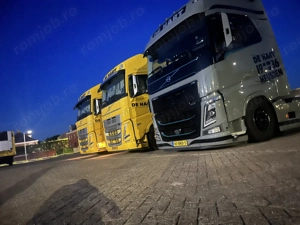 Șofer comunitate Olanda