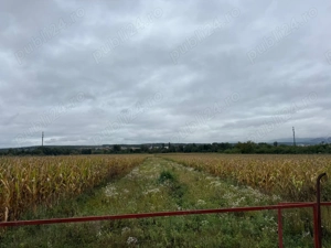 Vând teren intravilan 2000m2  în sat Hotărel, lângă Ștei   cu toate utilitățile - imagine 3