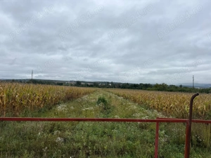 Vând teren intravilan 2000m2  în sat Hotărel, lângă Ștei   cu toate utilitățile - imagine 4