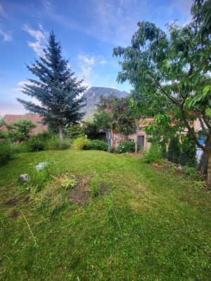 Casa de vacanta Rimetea - imagine 5