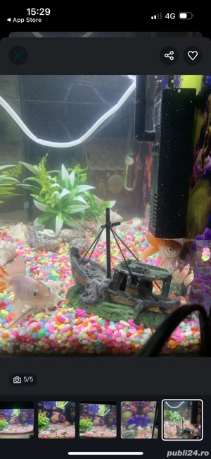 acvariu de vânzare  - imagine 3