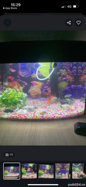 acvariu de vânzare  - imagine 2