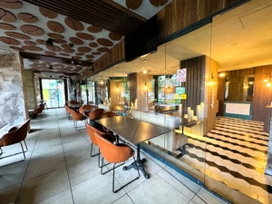 Inchiriem Spatiu Comercial ZONA ESPLANADA - imagine 13