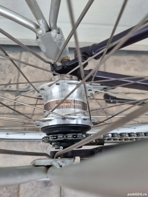 bicicleta universala Giant