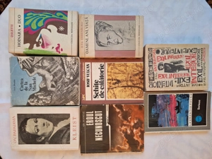 Lot 5 -  Carti beletristica (vechi)  (buc = 8) 