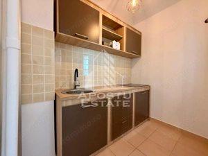 Apartament cu 1 camera, pet-friendly , zona Circumvalațiunii - imagine 6