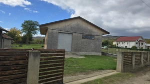 Vand Hala pe structura de lemn 400m + teren 2000m intravilan