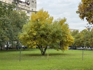 Apartament cu 3 Camere Bdul Libertatii-Parc Izvor