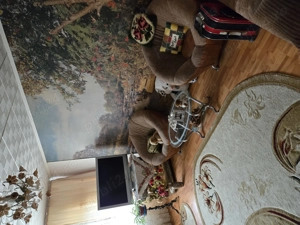 Apartament 3 camere, decomandat, etajul 1