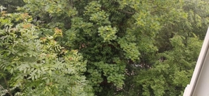 vanzare apartament 2 camere | Titan | zona verde | frumoasa | bloc 4 etaje reabilitat | etaj 4 | 52m - imagine 7