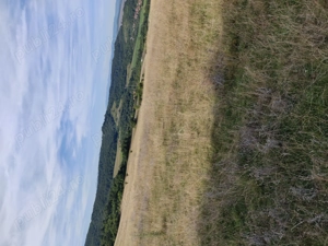 Vând pădure în satul Totia,jud.Hunedoars