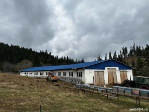 Urgent!!! Saivan de vaci de 800mp complet utilat in com Breaza, Sv - imagine 2