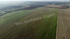 Teren de vânzare în comuna Căteasca, Județ Argeș. - imagine 7