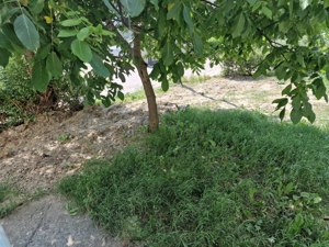 țApartament cu 2 camere de vânzare în zona Mioritei - imagine 14