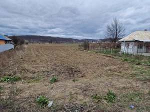 Teren intravilan in Sanduleni/Bacau de vanzare - imagine 8