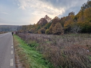 Teren 1,717mp Margineni / Strada Sat podis - imagine 5