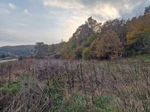 Teren 1,717mp Margineni / Strada Sat podis - imagine 6