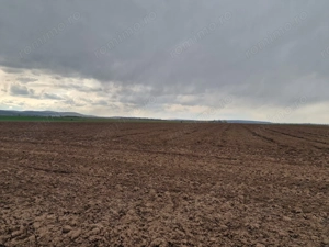 Teren 10,000mp Bacau / Strada Alexandru Safran - imagine 10