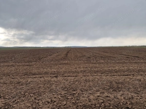 Teren 10,000mp Bacau / Strada Alexandru Safran - imagine 5