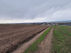 Teren 10,000mp Bacau / Strada Alexandru Safran - imagine 3