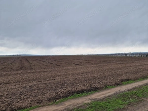 Teren 10,000mp Bacau / Strada Alexandru Safran - imagine 8