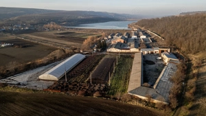 Fosta Ferma a Partidului de la Horgesti - de vanzare
