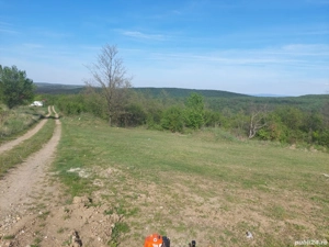 Vând teren în Săldăbagiu de Munte