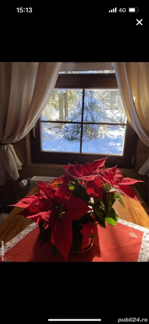 afarcere la munte - imagine 5