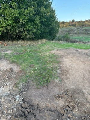 Vand teren intravilan in Betfia 992 mp - imagine 4