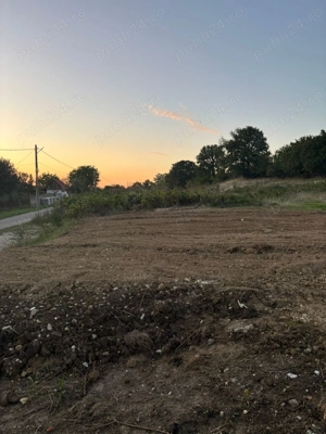 Vand teren intravilan in Betfia 992 mp - imagine 5