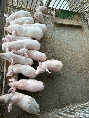 De vanzare  - imagine 2