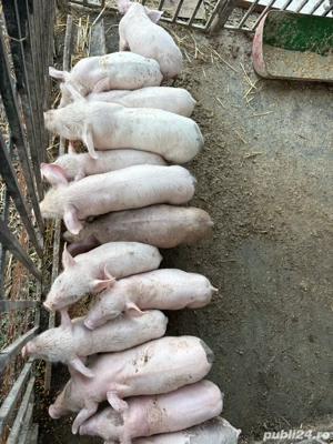 De vanzare  - imagine 3