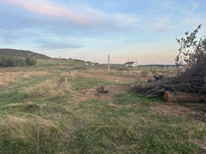 Vand teren intravilan in Betfia langa padure 1001 mp. - imagine 4