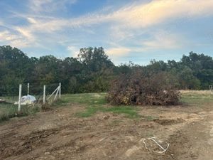 Vand teren intravilan in Betfia langa padure 1001 mp. - imagine 3