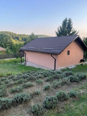 Vanzare casa și teren Stefanesti - imagine 4