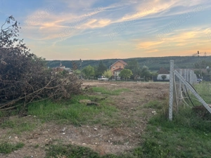 Vand teren intravilan in Betfia langa padure 1001 mp. - imagine 5