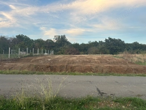 Vand teren intravilan in Betfia langa padure 1001 mp.