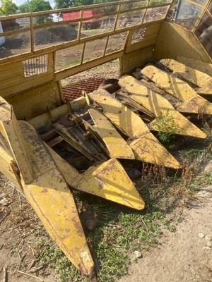 Heder 6 randuri - imagine 3